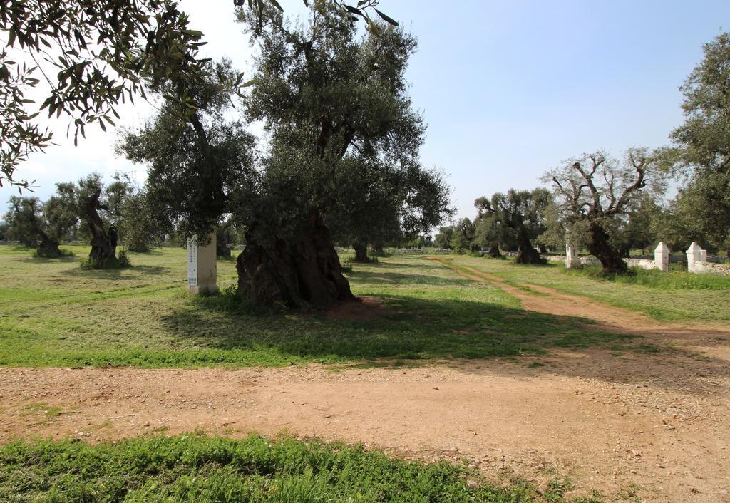 Отель Masseria Brancati Остуни Экстерьер фото
